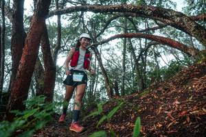 BIB: 
                            <button type="button" onclick="openModal(26344176)" class="btn btn-primary btn-sm float-right btn-popup" data-toggle="modal" data-target=".modal-high-quality">
                        <i class="fas fa-shopping-cart"></i> Add to Cart
                    </button>
                                            <button type="button" onclick="isThisMe(26344176, true)" class="btn btn-success btn-sm float-right btn-popup btn-isme hidden" data-toggle="tooltip" data-placement="bottom" title="นี่คือรูปของคุณใช่ไหม คลิกที่นี่เพื่อเอาเข้าอัลบั้ม">
                        <i class="fas fa-plus"></i> Add to album
                    </button>
                    <button type="button" onclick="isThisMe(26344176, false)" class="btn btn-warning btn-sm float-right btn-popup btn-isnotme hidden">
                        <i class="fas fa-ban"></i> Remove from album
                    </button>